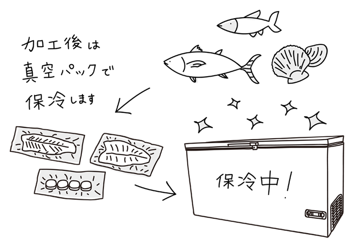魚問屋株式会社 加工 サービス 鮮魚卸 加工 配達業務 魚問屋株式会社 加工 サービス 鮮魚卸 加工 配達業務
