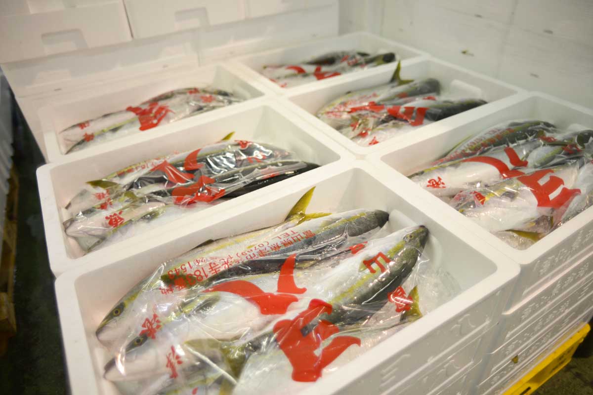 魚問屋株式会社