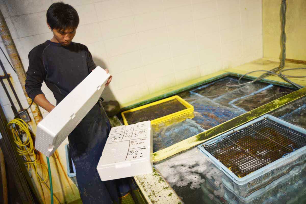 魚問屋株式会社