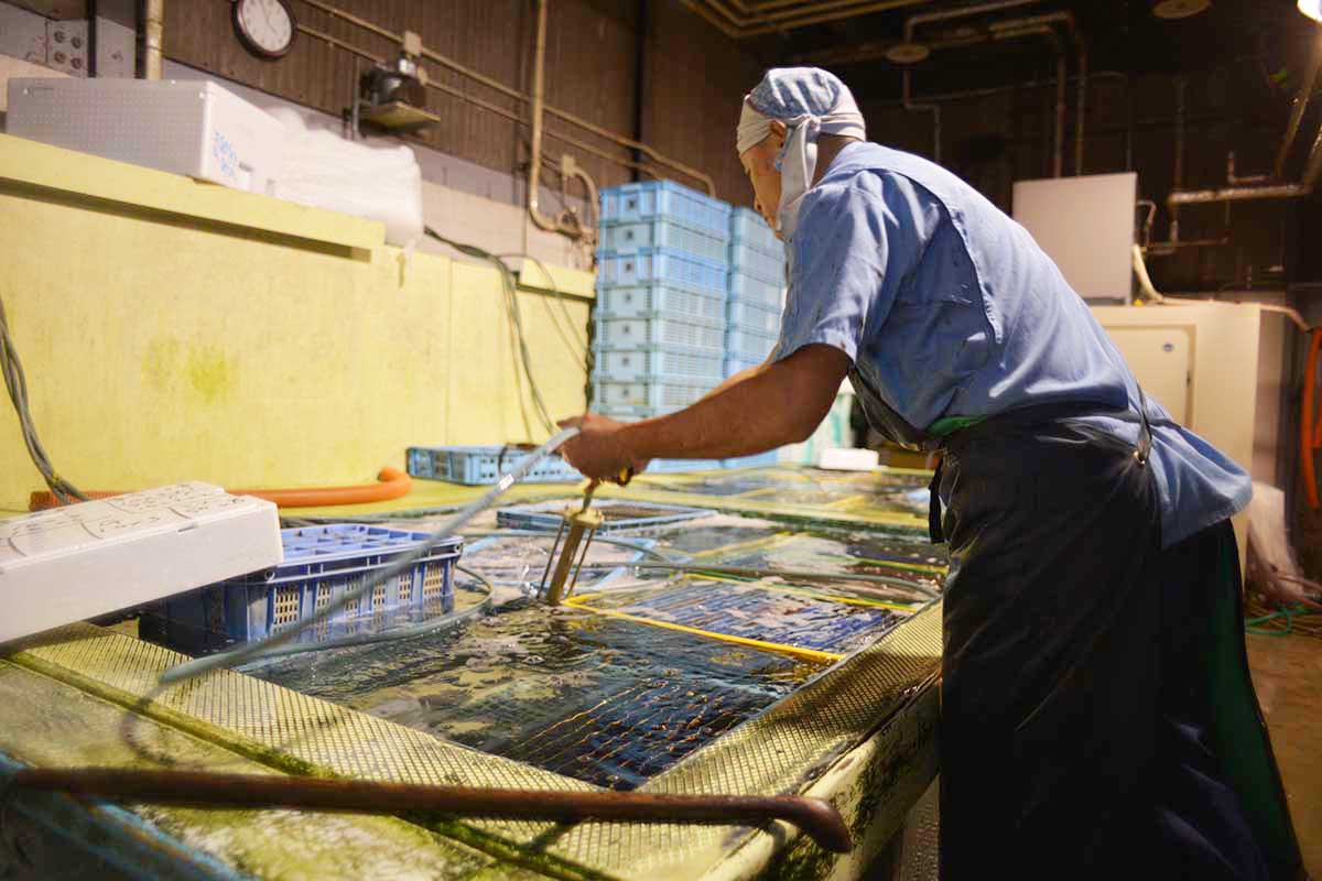 魚問屋株式会社