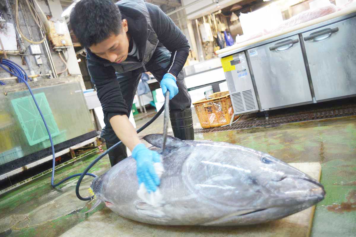 魚問屋株式会社