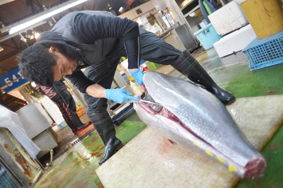 魚問屋株式会社