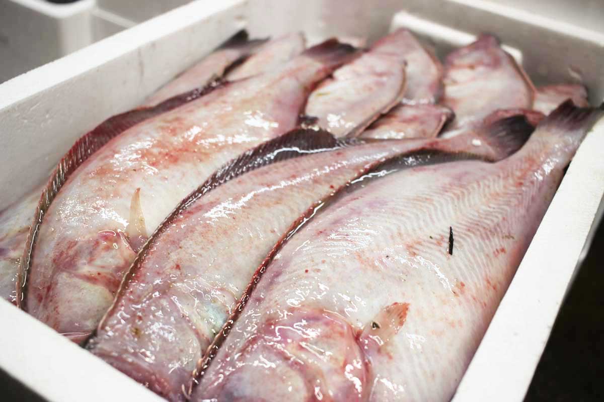 魚問屋株式会社